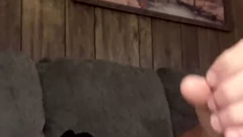 scottpolars online show from April 19, 2026, 4:17 pm