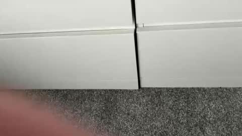 scottyc48 online show from January 7, 2026, 2:52 pm