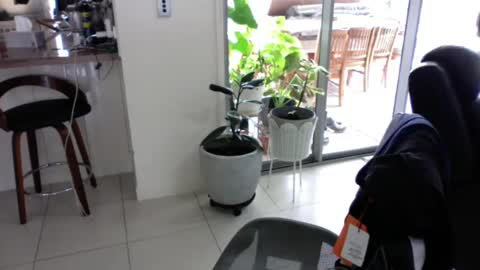 sebastianalll online show from December 30, 2024, 12:22 am