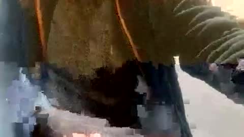 sebtin1979 online show from February 23, 2026, 2:36 pm