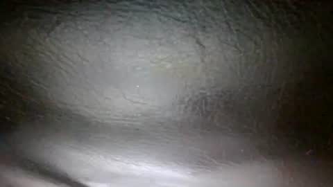 Sunny online show from November 3, 2025, 3:46 pm