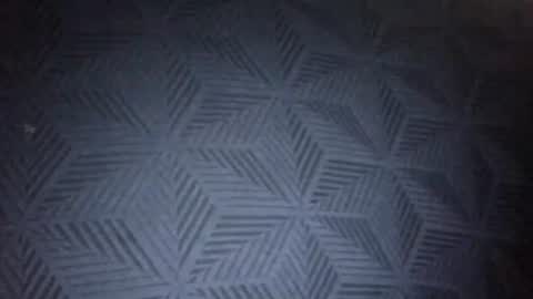 Sunny online show from January 31, 2026, 8:51 pm