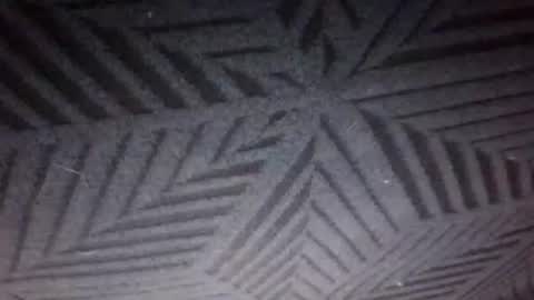 Sunny online show from March 12, 2026, 6:36 pm