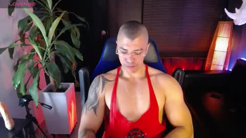 sed online show from December 14, 2024, 8:45 am