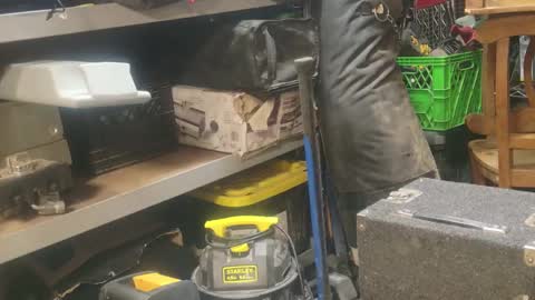 Seeker online show from January 1, 2025, 9:17 am