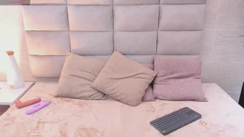 seikibee online show from February 19, 2026, 3:46 am