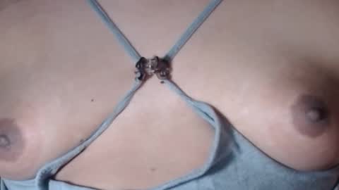 Selda online show from February 22, 2026, 7:51 am