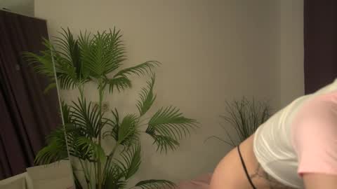 sweetie Selin 3 online show from November 3, 2025, 5:42 am