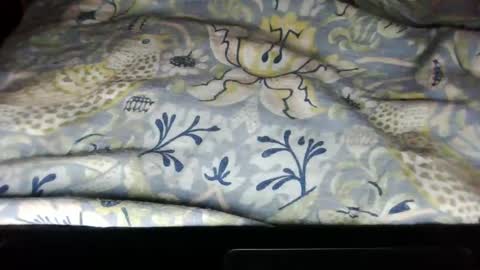 Snapshot of serenathomas chatting on February 5, 2025, 12:53 am SerenaLoves online show from February 5, 2025, 12:53 am