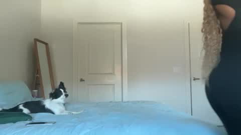 Snapshot of serenitybee chatting on November 17, 2025, 5:52 pm Serenity Bee online show from November 17, 2025, 5:52 pm