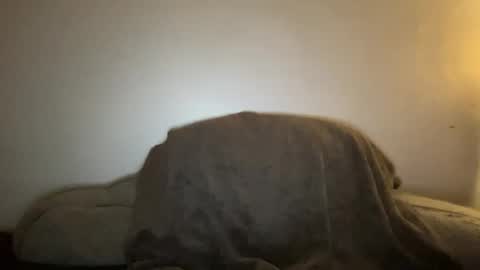 Snapshot of seroc12345 chatting on January 19, 2025, 2:47 am Seroc online show from January 19, 2025, 2:47 am