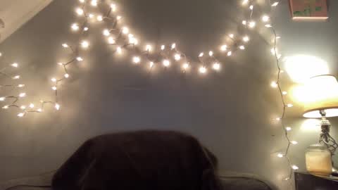 Snapshot of seroc12345 chatting on March 9, 2025, 11:46 pm Seroc online show from March 9, 2025, 11:46 pm