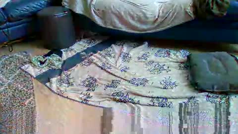 sex232316 online show from September 20, 2025, 11:11 am