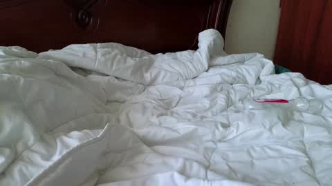 Katya online show from January 3, 2025, 12:41 pm