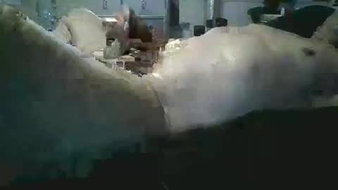 sexboy1437 online show from November 24, 2025, 10:15 am