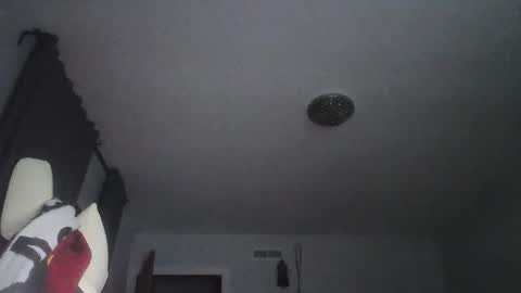 Snapshot of sexbrute chatting on May 17, 2026, 1:03 am sexbrute online show from May 17, 2026, 1:03 am