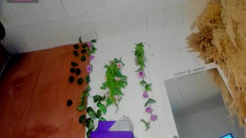 Snapshot of sexking_david chatting on December 22, 2025, 11:02 pm sexking_david online show from December 22, 2025, 11:02 pm