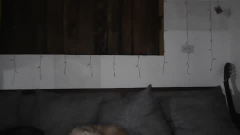 Trixy Rose online show from January 11, 2025, 5:41 am