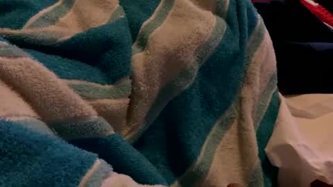 Sexplorer54321 online show from February 3, 2025, 1:30 am