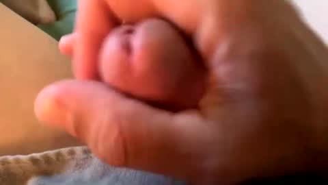 Sexplorer54321 online show from September 15, 2025, 9:48 pm