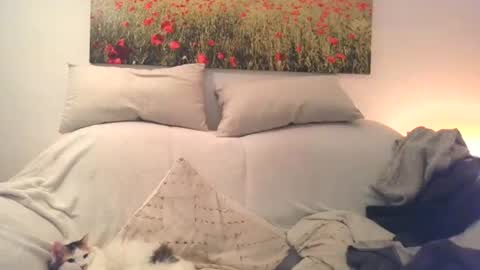 Snapshot of sexurbation chatting on December 10, 2024, 3:01 pm Sexurbation online show from December 10, 2024, 3:01 pm