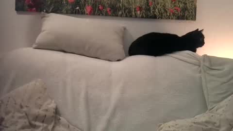 Snapshot of sexurbation chatting on January 1, 2025, 10:46 pm Sexurbation online show from January 1, 2025, 10:46 pm