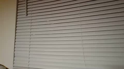 Snapshot of sexxjunkiee chatting on January 19, 2025, 2:15 am SEXX JUNKIEE online show from January 19, 2025, 2:15 am