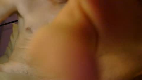 sexxxylibra10 online show from September 18, 2025, 9:55 am