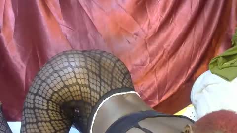 triza online show from September 21, 2025, 6:15 am