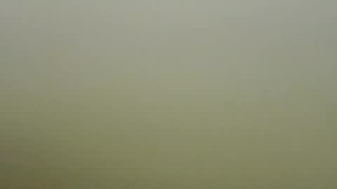 sexy_esther92 online show from January 19, 2026, 6:39 am