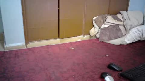 Snapshot of sexy_lunah chatting on December 19, 2024, 2:57 pm sexy_lunah online show from December 19, 2024, 2:57 pm