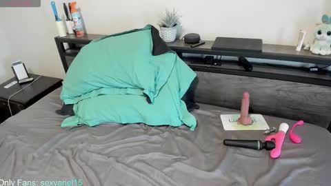 SexyAriel15 online show from October 22, 2025, 4:51 pm