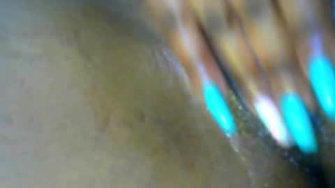 Lisa online show from November 19, 2025, 12:49 pm