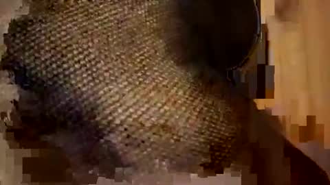 Snapshot of sexycplluv chatting on November 9, 2025, 11:25 pm Forever Erotica online show from November 9, 2025, 11:25 pm