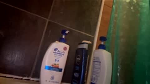 sexyhottie8 online show from January 11, 2026, 12:37 am