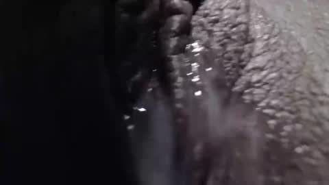 sexyjustin202 online show from February 26, 2025, 1:53 am