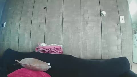 Snapshot of sexystripper69 chatting on February 19, 2025, 10:09 pm sexystripper69 online show from February 19, 2025, 10:09 pm