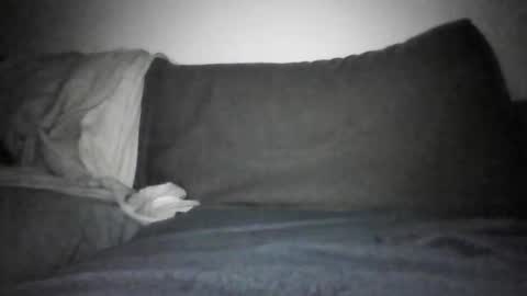 Snapshot of shamefullyshort chatting on December 17, 2025, 6:14 pm Shorty online show from December 17, 2025, 6:14 pm