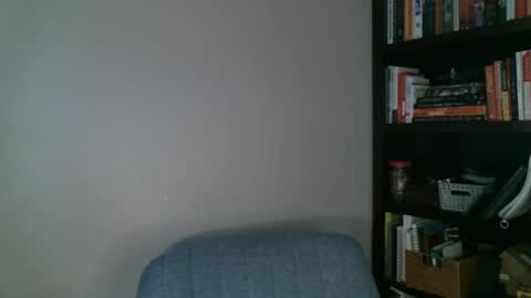 shamelesswetdream online show from February 24, 2025, 1:35 am