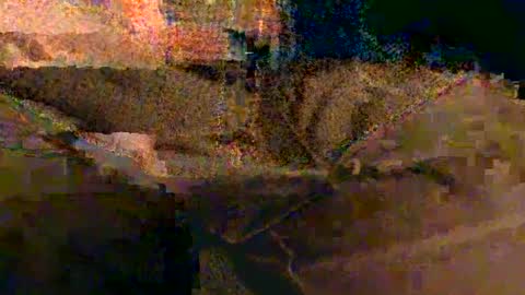 Snapshot of shapelyhelm1 chatting on February 14, 2025, 8:10 am shapelyhelm1 online show from February 14, 2025, 8:10 am