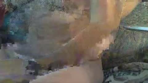 Sharkey644 online show from November 11, 2025, 4:40 pm