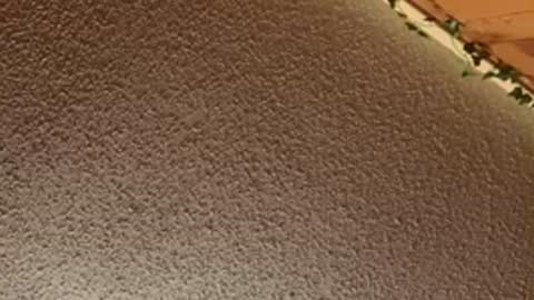 shaytin0 online show from December 20, 2025, 4:47 pm