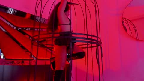 Snapshot of shegoblake chatting on January 12, 2025, 12:07 am Shego online show from January 12, 2025, 12:07 am