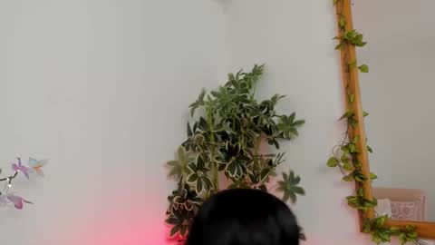 Snapshot of shegoblake chatting on September 22, 2025, 9:50 pm Shego online show from September 22, 2025, 9:50 pm