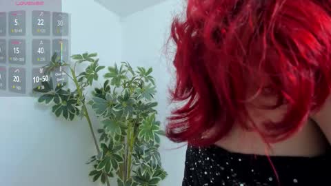 Shego  online show from December 19, 2025, 12:50 am