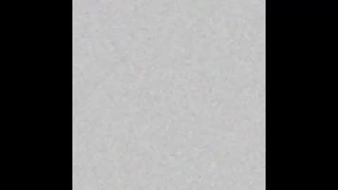 shellykblack online show from December 21, 2025, 5:47 am