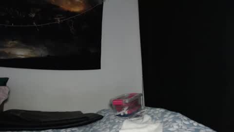 Snapshot of sherriblendi chatting on March 4, 2025, 11:51 am SHERRIBLENDI online show from March 4, 2025, 11:51 am