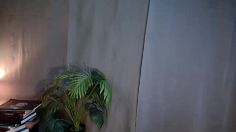 Snapshot of shes_notme chatting on March 13, 2026, 1:56 am Lana But you can spell it backwards online show from March 13, 2026, 1:56 am