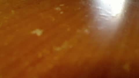 shieldmetoday online show from February 26, 2026, 11:37 pm