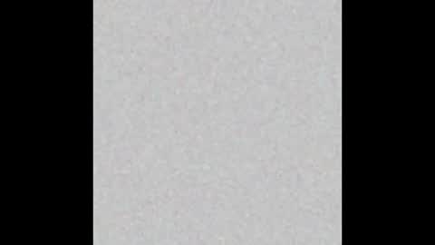 Nika online show from December 29, 2024, 12:23 pm